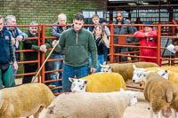 Longtown Ram Fair-46